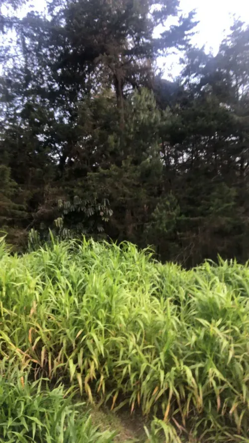Lote en venta en Guayabito, Rionegro, 5874 m² · foto 5 de 6