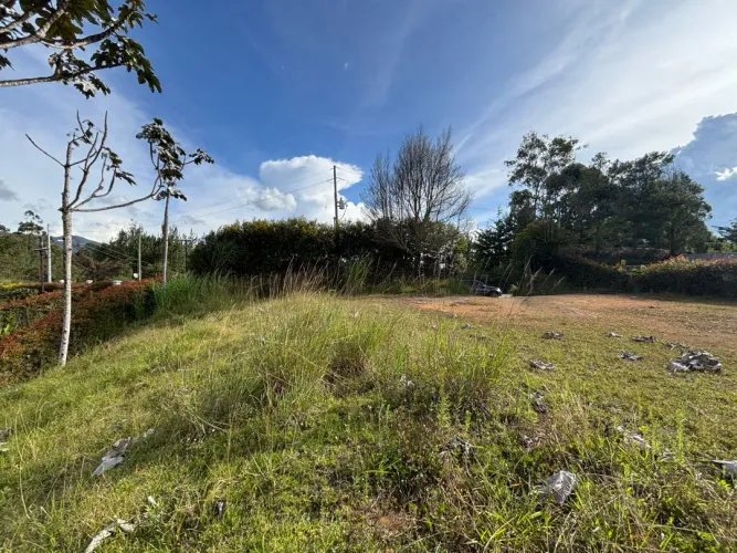 Lote en venta en Guayabito, Rionegro, 2527 m² · foto 14 de 24