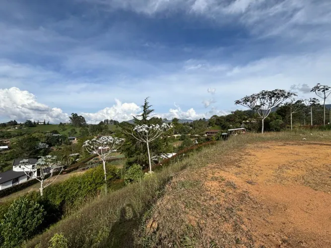 Lote en venta en Guayabito, Rionegro, 2527 m² · foto 15 de 24