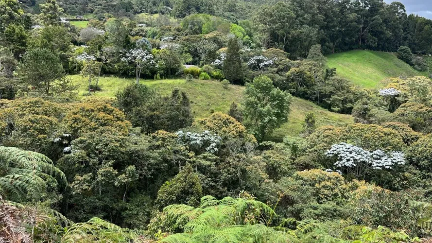 Lote en venta en Guayabito, Rionegro, 25000 m² · foto 3 de 20