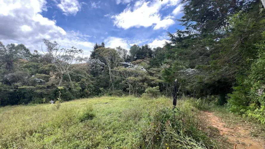 Lote en venta en Guayabito, Rionegro, 25000 m² · foto 4 de 20