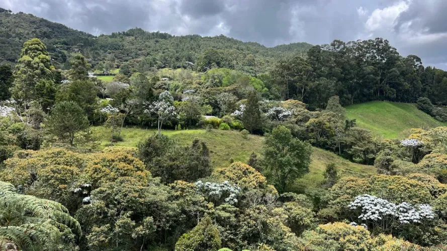 Lote en venta en Guayabito, Rionegro, 25000 m² · foto 5 de 20