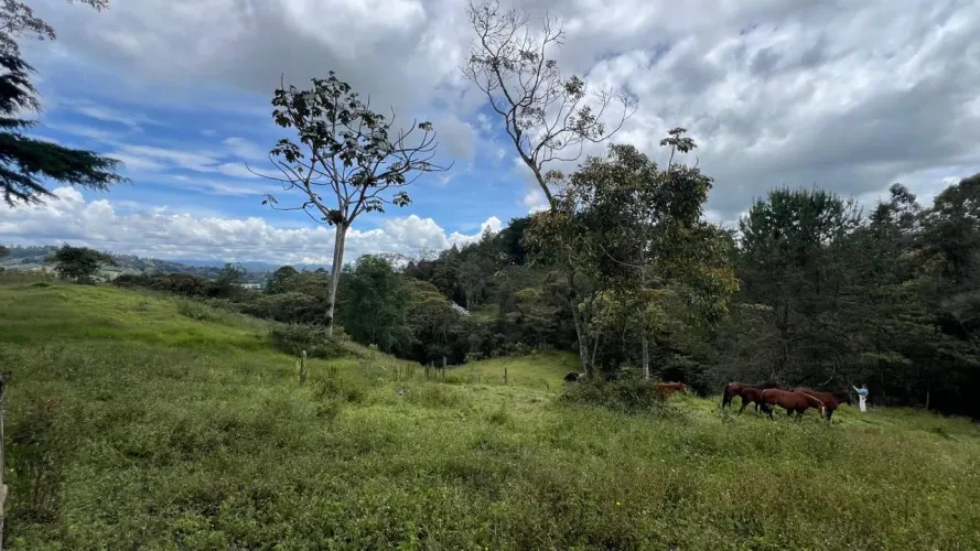 Lote en venta en Guayabito, Rionegro, 25000 m² · foto 6 de 20