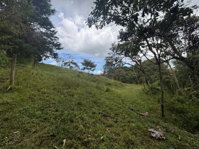 Lote en venta en Guayabito, Rionegro, 25000 m² · foto 7 de 20
