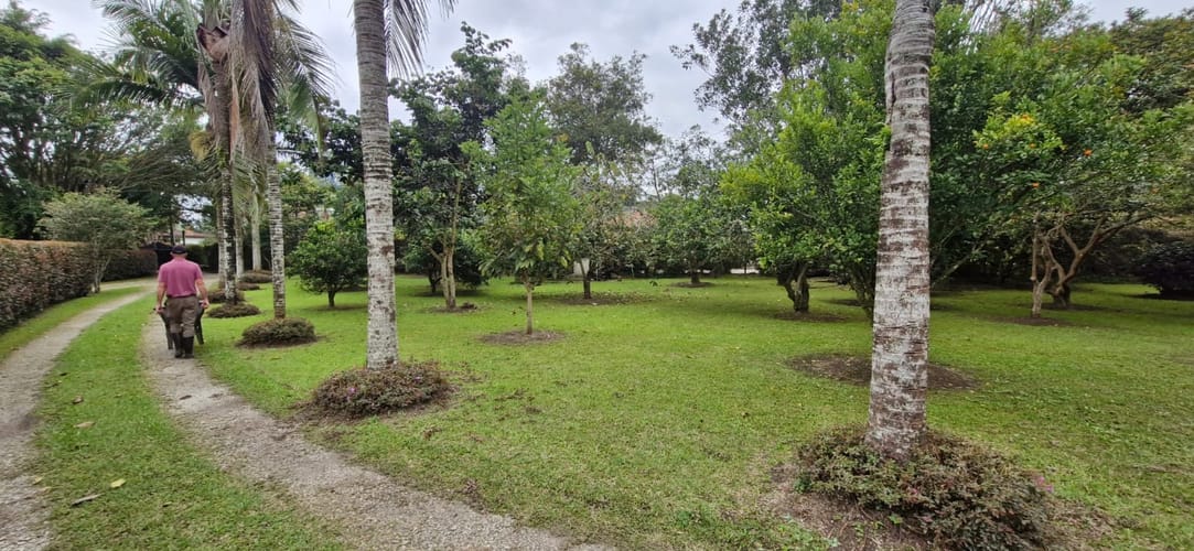 Finca en venta en El Porvenir, Rionegro, 600 m² · foto 13 de 24