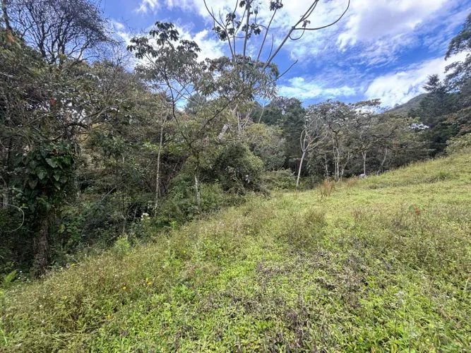 Lote en venta en Guayabito, Rionegro, 25000 m² · foto 10 de 20