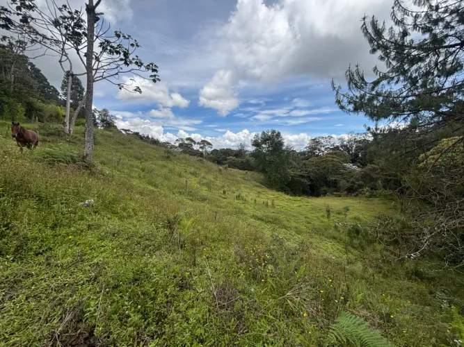 Lote en venta en Guayabito, Rionegro, 25000 m² · foto 12 de 20