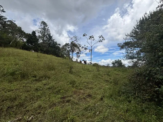 Lote en venta en Guayabito, Rionegro, 25000 m² · foto 13 de 20
