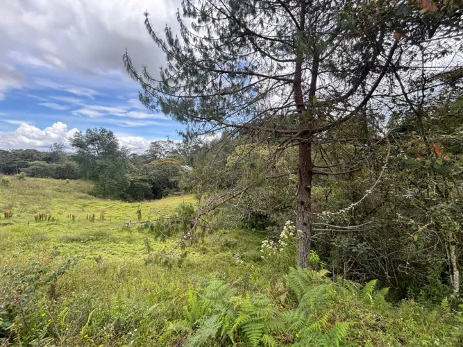 Lote en venta en Guayabito, Rionegro, 25000 m² · foto 14 de 20