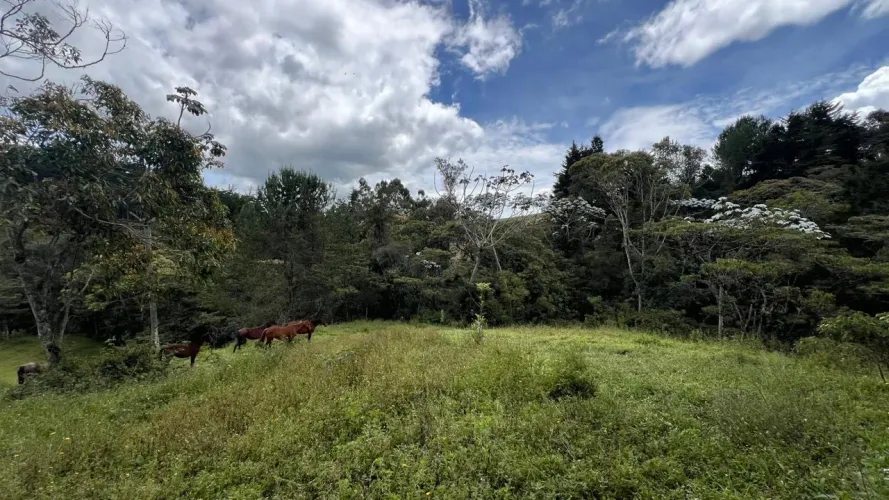 Lote en venta en Guayabito, Rionegro, 25000 m² · foto 15 de 20