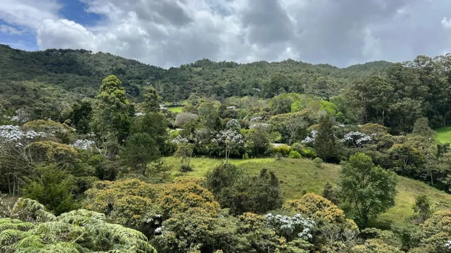 Lote en venta en Guayabito, Rionegro, 25000 m² · foto 16 de 20