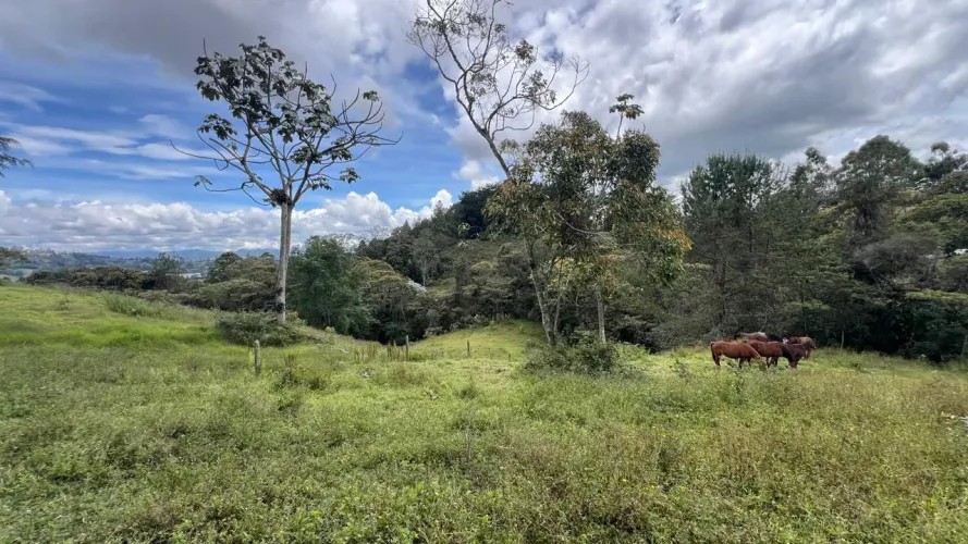 Lote en venta en Guayabito, Rionegro, 25000 m² · foto 17 de 20