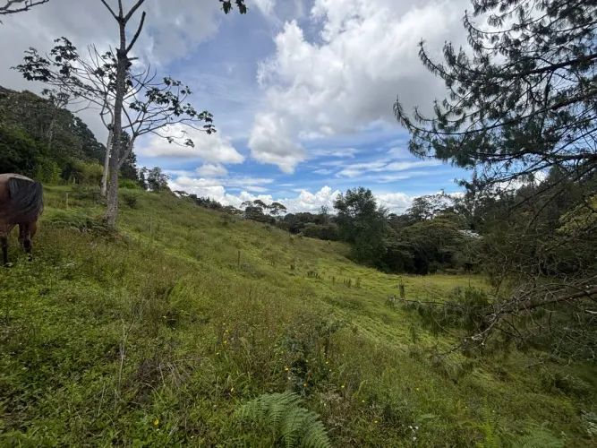 Lote en venta en Guayabito, Rionegro, 25000 m² · foto 18 de 20
