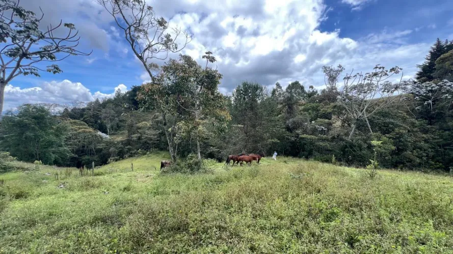 Lote en venta en Guayabito, Rionegro, 25000 m² · foto 19 de 20