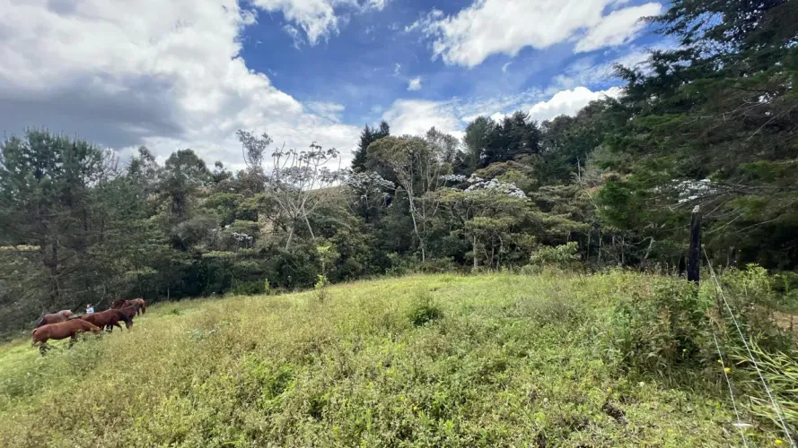Lote en venta en Guayabito, Rionegro, 25000 m² · foto 20 de 20