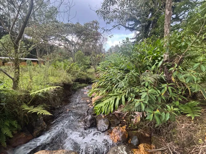Casa de 6 alcobas en venta en Guayabito, Rionegro · foto 16 de 24