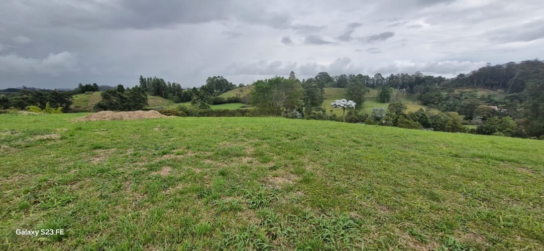 Lote en venta en El Porvenir, El Carmen de Viboral, 4258 m² · foto 3 de 18