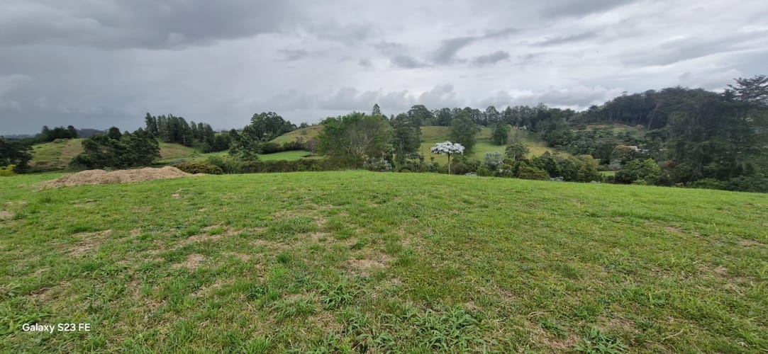 Lote en venta en El Porvenir, El Carmen de Viboral, 4258 m² · foto 9 de 18