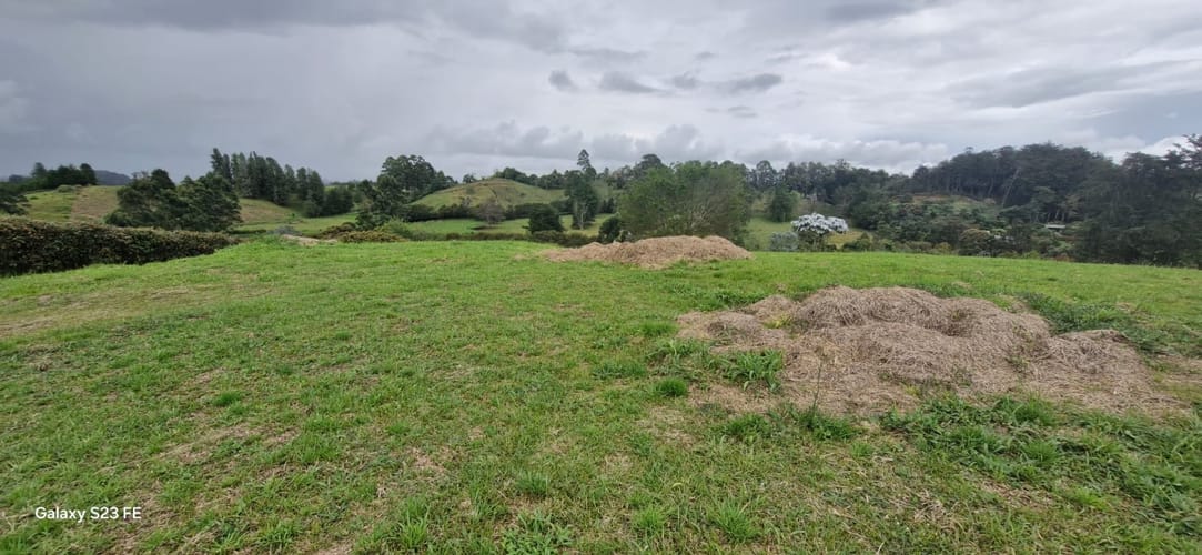 Lote en venta en El Porvenir, El Carmen de Viboral, 4258 m² · foto 18 de 18