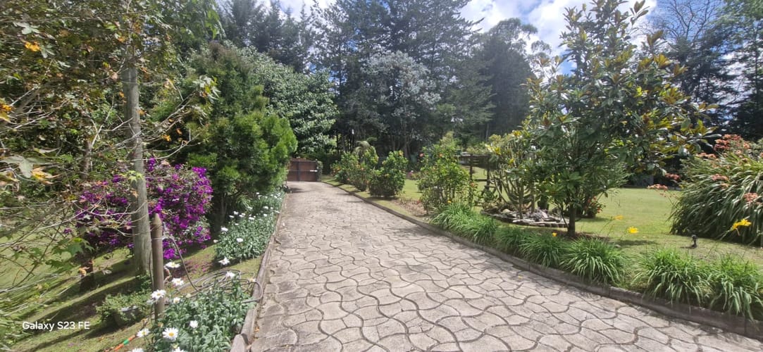 Finca en venta en El Carmen De Viboral, El Carmen de Viboral, 250 m² · foto 10 de 21