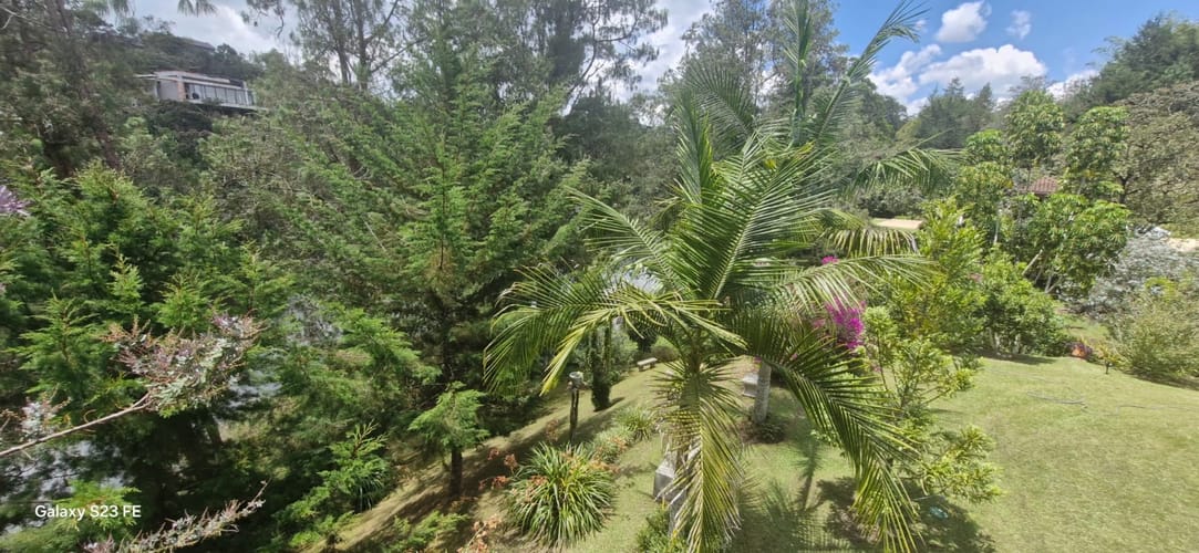 Finca en venta en El Carmen De Viboral, El Carmen de Viboral, 250 m² · foto 12 de 21