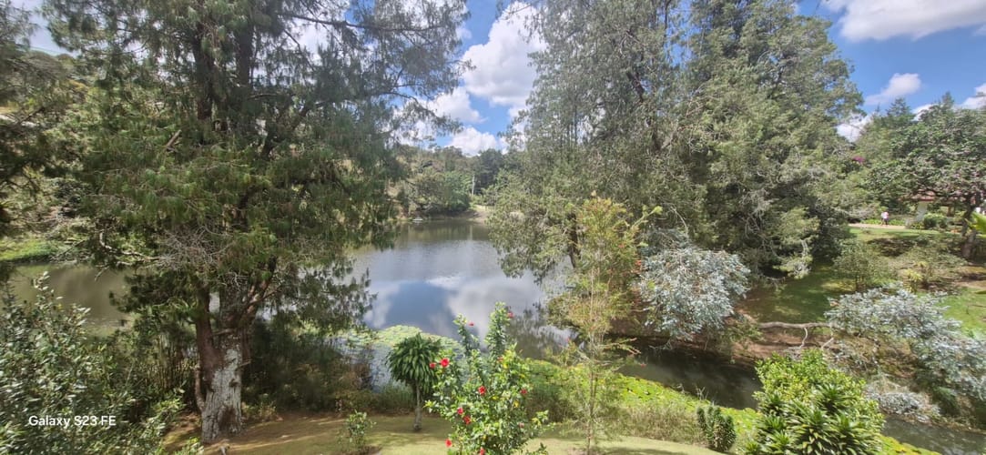 Finca en venta en El Carmen De Viboral, El Carmen de Viboral, 250 m² · foto 13 de 21