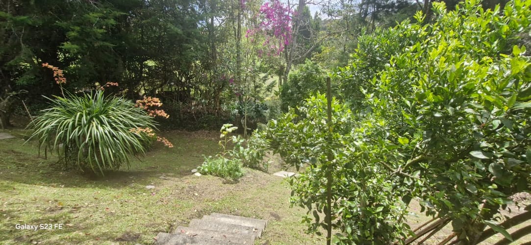 Finca en venta en El Carmen De Viboral, El Carmen de Viboral, 250 m² · foto 14 de 21