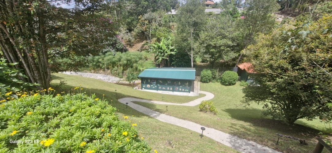 Finca en venta en El Carmen De Viboral, El Carmen de Viboral, 250 m² · foto 15 de 21