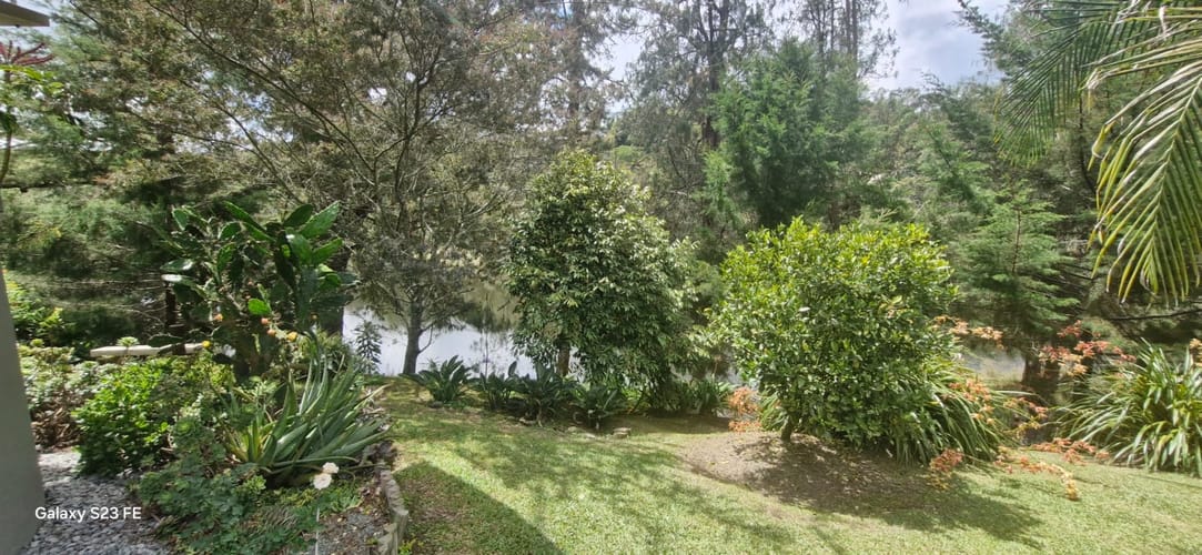 Finca en venta en El Carmen De Viboral, El Carmen de Viboral, 250 m² · foto 17 de 21