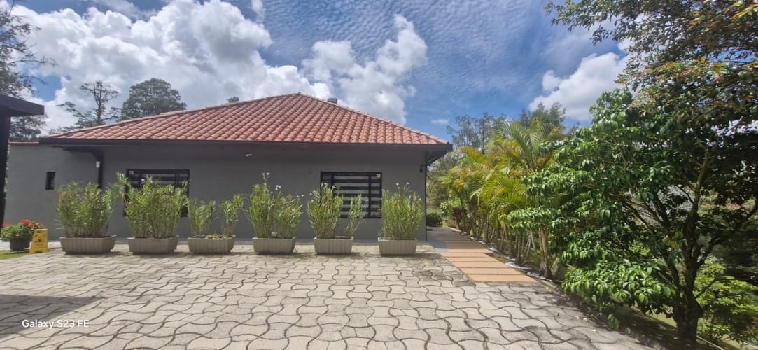 Finca en venta en El Carmen De Viboral, El Carmen de Viboral, 250 m² · foto 19 de 21