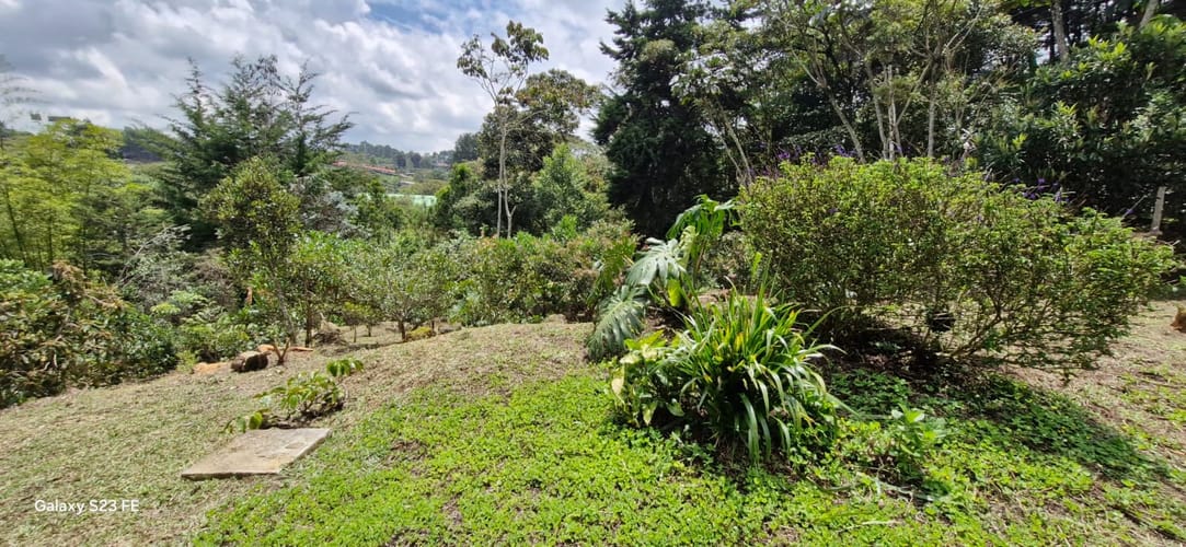 Lote en venta en El Porvenir, Rionegro, 4495 m² · foto 2 de 16