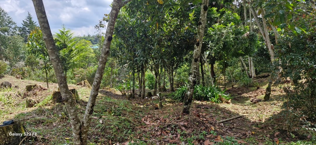 Lote en venta en El Porvenir, Rionegro, 4495 m² · foto 3 de 16