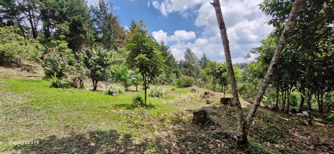 Lote en venta en El Porvenir, Rionegro, 4495 m² · foto 5 de 16