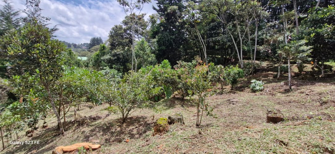Lote en venta en El Porvenir, Rionegro, 4495 m² · foto 6 de 16