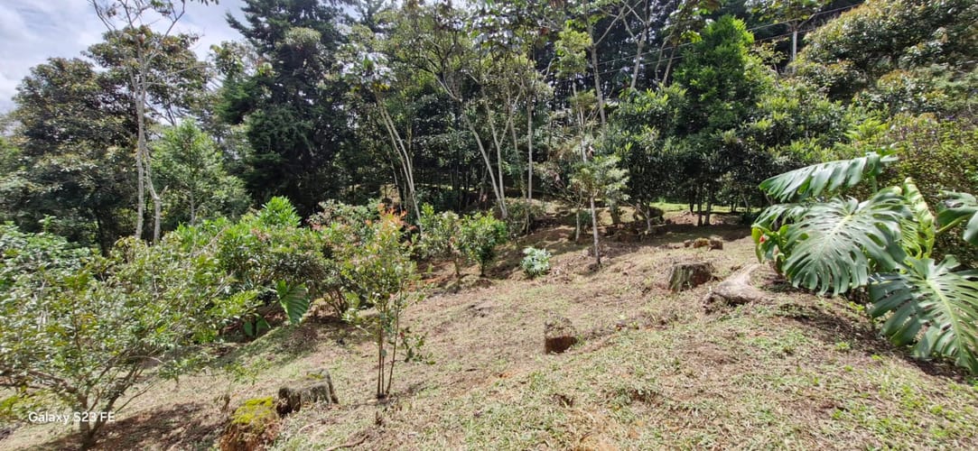Lote en venta en El Porvenir, Rionegro, 4495 m² · foto 8 de 16