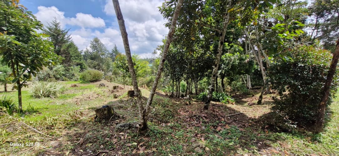 Lote en venta en El Porvenir, Rionegro, 4495 m² · foto 9 de 16