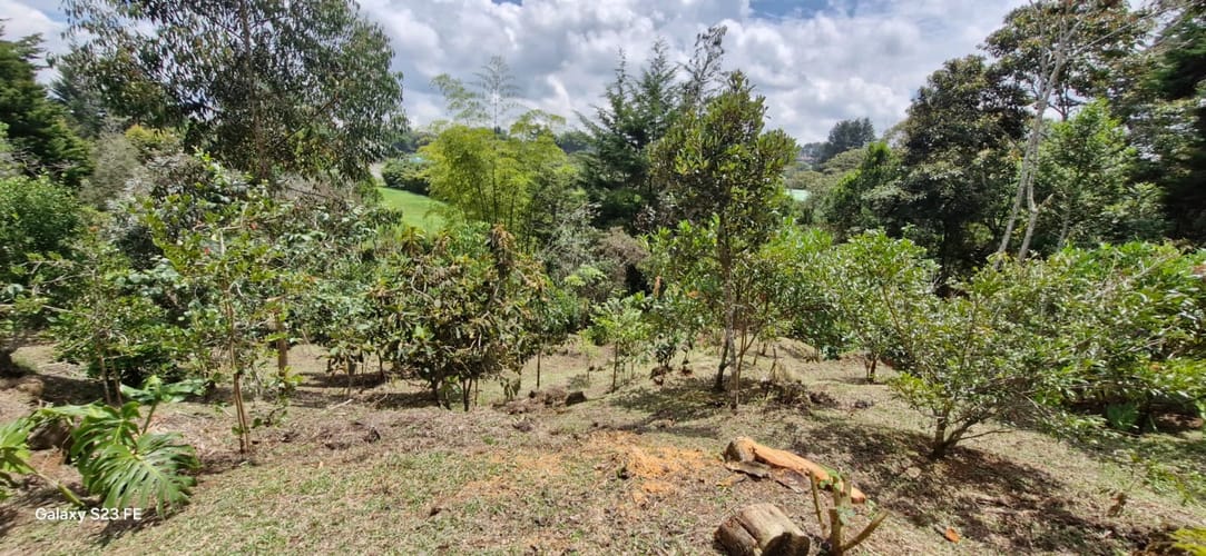 Lote en venta en El Porvenir, Rionegro, 4495 m² · foto 12 de 16