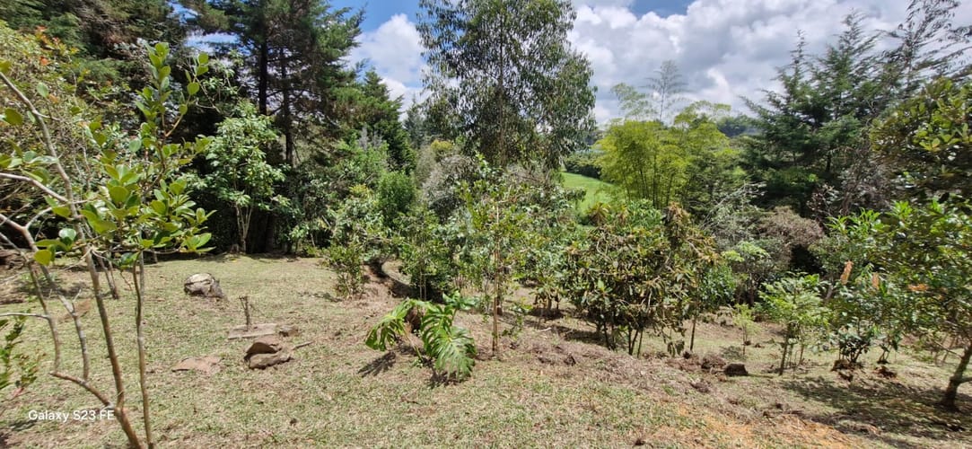Lote en venta en El Porvenir, Rionegro, 4495 m² · foto 16 de 16