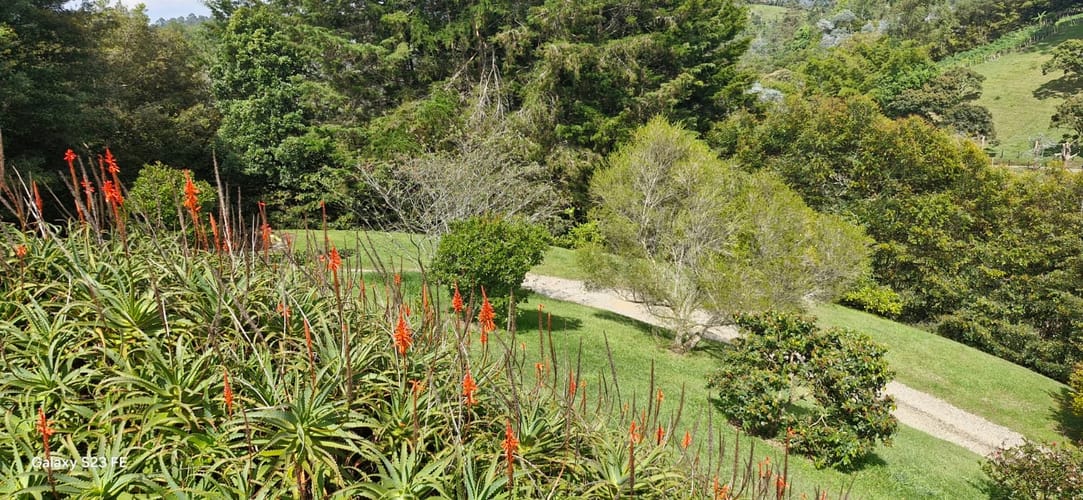 Finca en venta en El Porvenir, Rionegro, 350 m² · foto 6 de 20