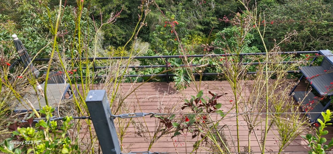 Finca en venta en El Porvenir, Rionegro, 350 m² · foto 7 de 20