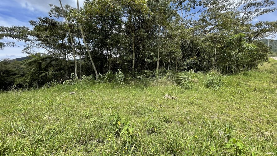 Lote en venta en San Miguel, La Ceja, 4306 m² · foto 2 de 15