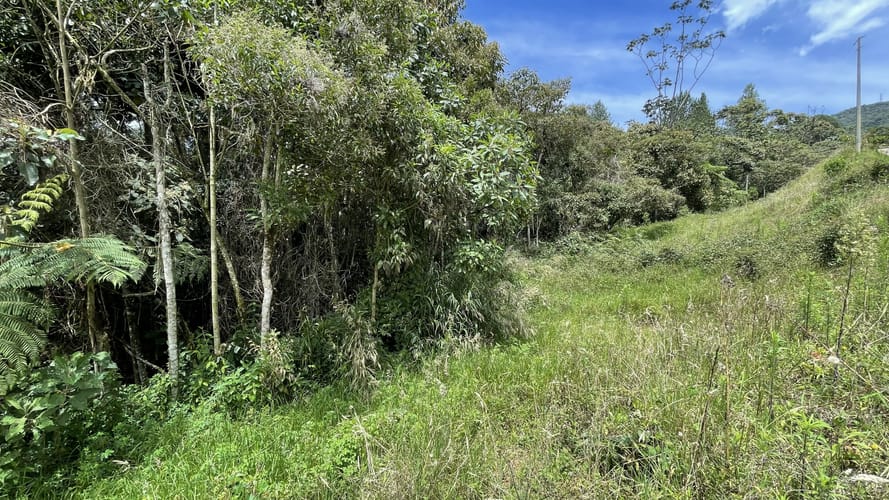 Lote en venta en San Miguel, La Ceja, 4306 m² · foto 5 de 15