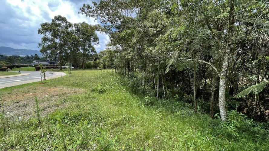 Lote en venta en San Miguel, La Ceja, 4306 m² · foto 6 de 15