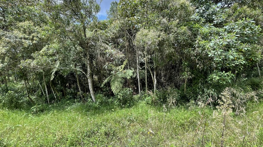 Lote en venta en San Miguel, La Ceja, 4306 m² · foto 7 de 15