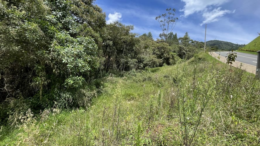 Lote en venta en San Miguel, La Ceja, 4306 m² · foto 8 de 15
