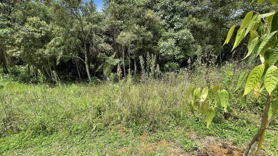 Lote en venta en San Miguel, La Ceja, 4306 m² · foto 9 de 15