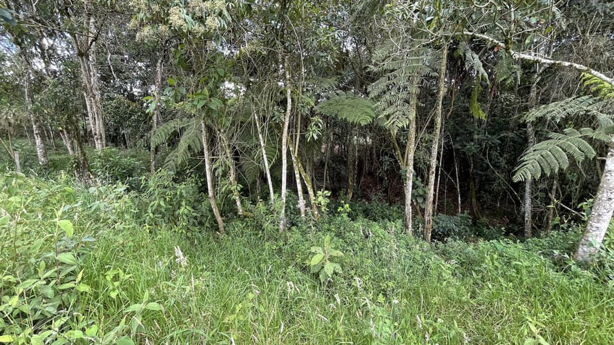 Lote en venta en San Miguel, La Ceja, 4306 m² · foto 11 de 15