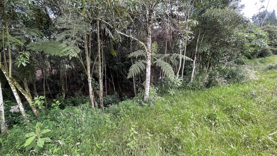 Lote en venta en San Miguel, La Ceja, 4306 m² · foto 12 de 15