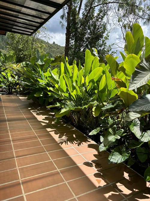 Casa de 6 alcobas en venta en Guamito, La Ceja, 520 m² · foto 13 de 17