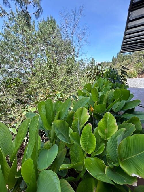 Casa de 6 alcobas en venta en Guamito, La Ceja, 520 m² · foto 17 de 17